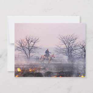 Carte Postale Après le feu des Prairies, Flint Hills, Kansas