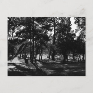 Carte Postale Après-midi dans le parc