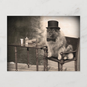 Carte Postale Après-midi de Keeshond Gentleman