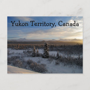 Carte Postale Après-midi neigeux ; Territoire du Yukon, Canada