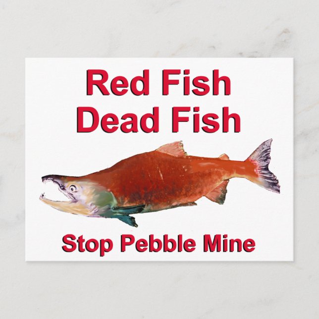 Carte Postale Après Saumon - Arrêter la mine de galets (Devant)