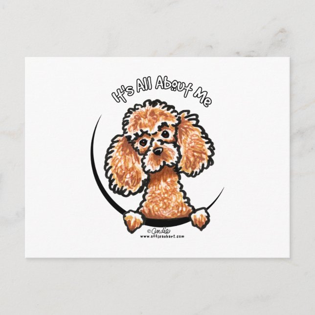 Carte Postale Apricot Jouet Miniature Poodle IAAM (Devant)
