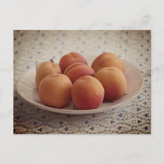 Carte Postale Apricots sur plaque (Devant)