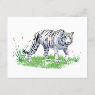 Carte Postale Aquarelle Beau tigre blanc