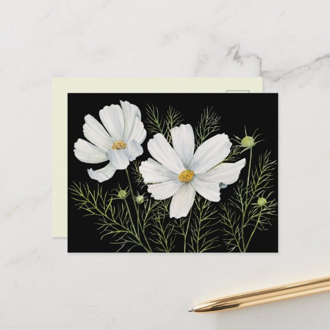 Carte Postale Aquarelle Blanc Cosmos Fleurs Peinture Botanique (Devant/Arrière en situation)