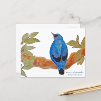 Carte Postale Aquarelle Bleu Cuckooshrike Oiseau Africain