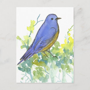 Carte Postale Aquarelle Bluebird Desert Sagebrush