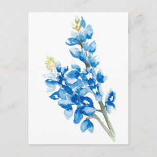 Carte Postale Aquarelle Bluebonnets