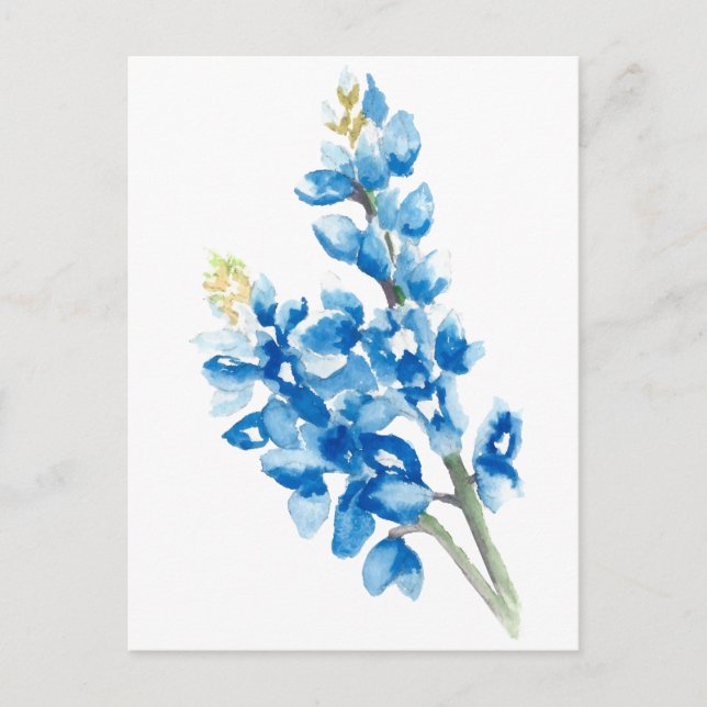 Carte Postale Aquarelle Bluebonnets (Devant)