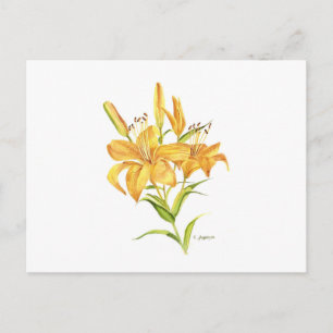 Carte Postale Aquarelle botanique jaune tigrée orange