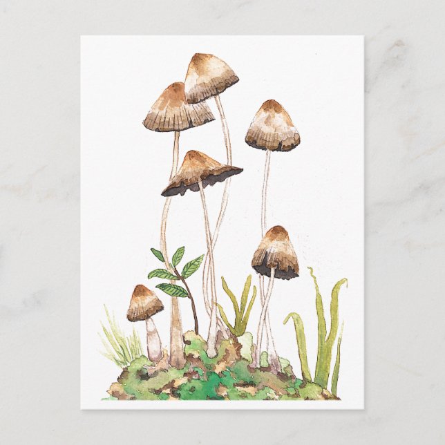 Carte Postale Aquarelle Brown de champignons forestiers (Devant)
