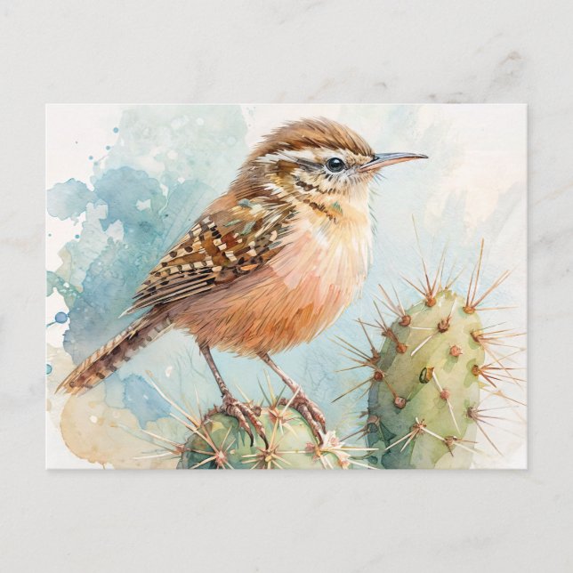 Carte Postale Aquarelle Cactus Wren (Devant)