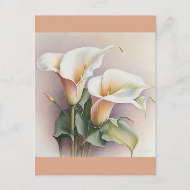 Carte Postale Aquarelle calla (Devant)