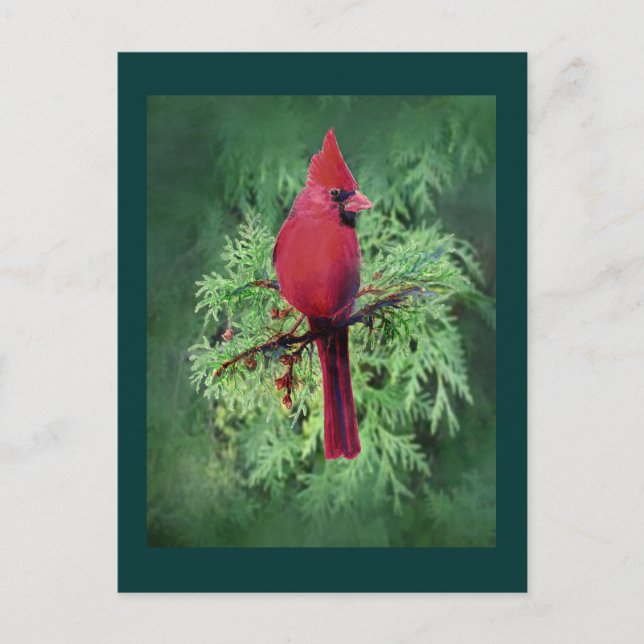 Carte Postale Aquarelle Cardinal Oiseau Cèdre Arbre Nature Art (Devant)