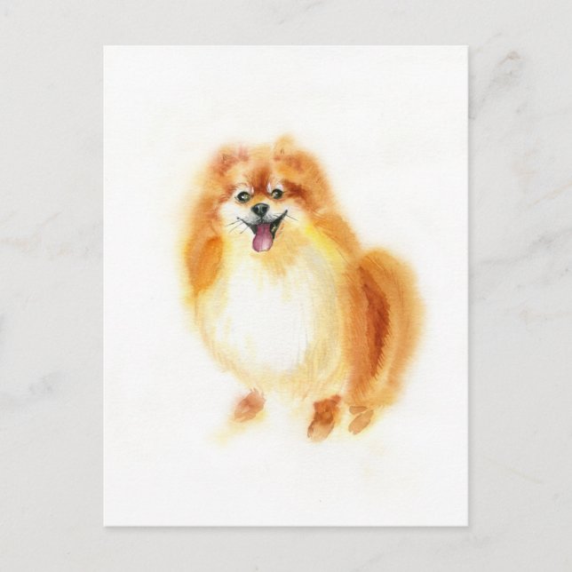 Carte Postale Aquarelle Chien de Poméranie. (Devant)