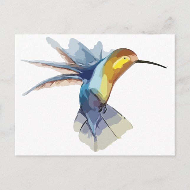 Carte Postale aquarelle colibri sketch pacifique (Devant)