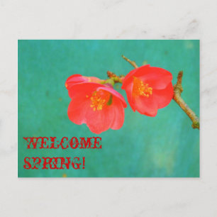 Carte Postale Aquarelle comme Sakura Blossom