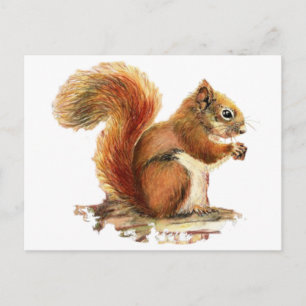 Carte Postale Aquarelle Cute Écureuil rouge Nature animale