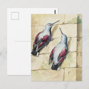 Carte Postale Aquarelle d'art vintage d'oiseau rouge et gris