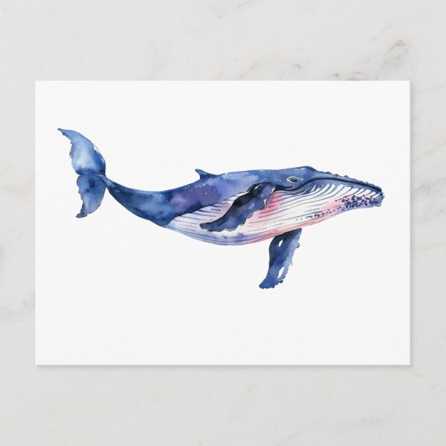 Carte Postale Aquarelle de baleine (Devant)