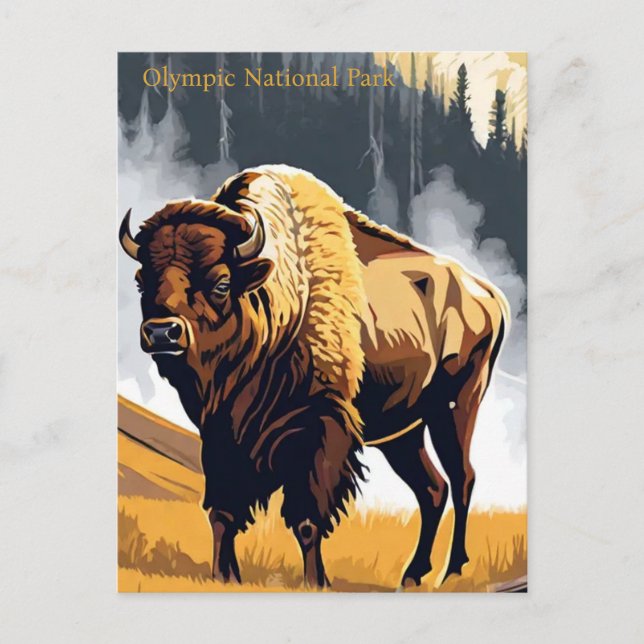 Carte Postale Aquarelle de Bison Buffalo du parc national olympi (Devant)