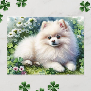 Carte Postale Aquarelle de chien de Poméranie blanche Champ de f