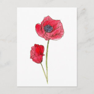 Carte Postale Aquarelle de fleurs rouges de pavot Art botanique