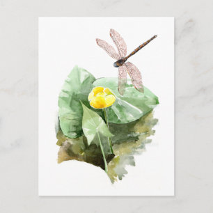 Carte Postale aquarelle de nénuphar