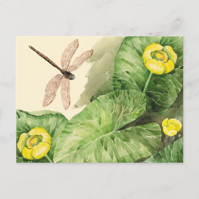 Carte Postale aquarelle de nénuphar (Devant)