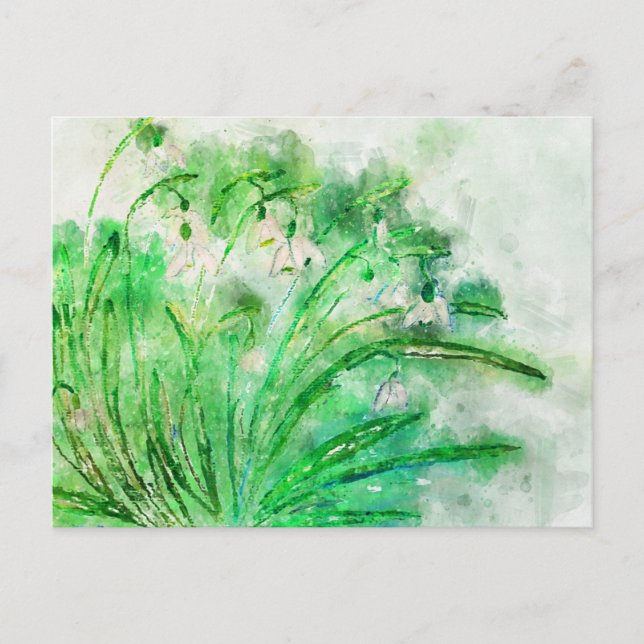 Carte Postale Aquarelle de perce-neige. Aquarelle de fleurs pein (Devant)