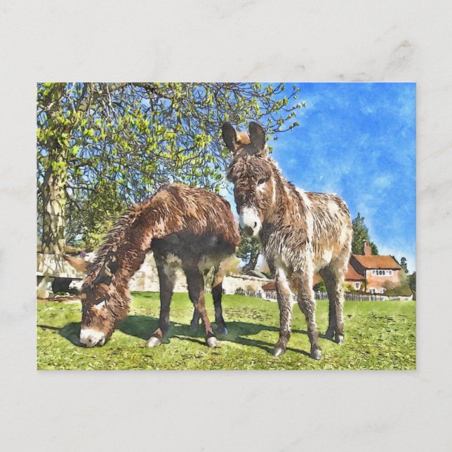 Carte Postale Aquarelle des ânes (Devant)