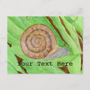 Carte Postale Aquarelle des escargots