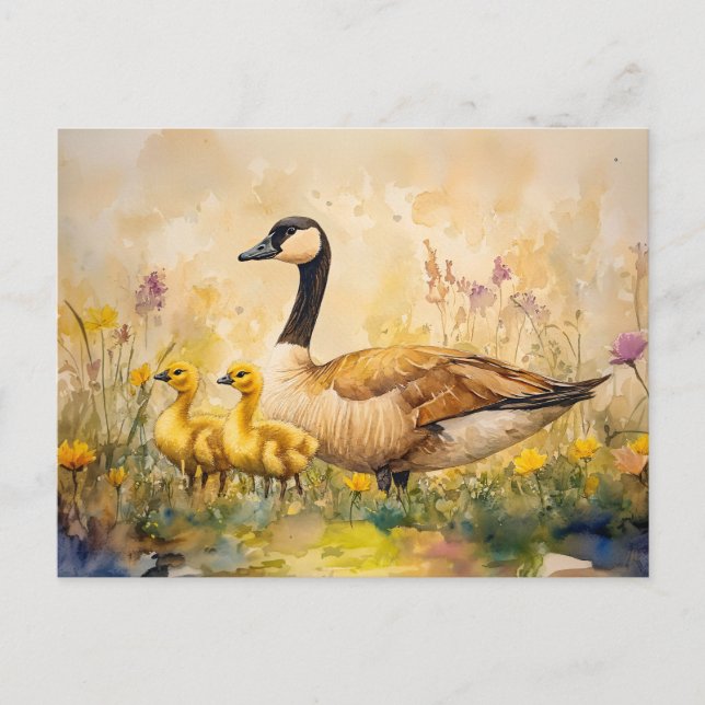 Carte Postale Aquarelle d'oie et d'oies printemps (Devant)