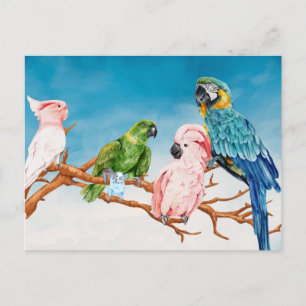 Carte Postale Aquarelle d'oiseaux Perroquet Ara Cacatoès Perruch