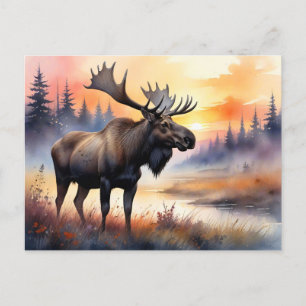 Carte Postale Aquarelle d'orignal au lever du soleil