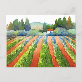 Carte Postale Aquarelle du vignoble Rouge Vert Bleu  
