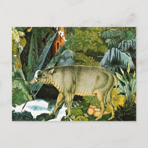 Carte Postale Aquarelle d'un porc sauvage Babirusa