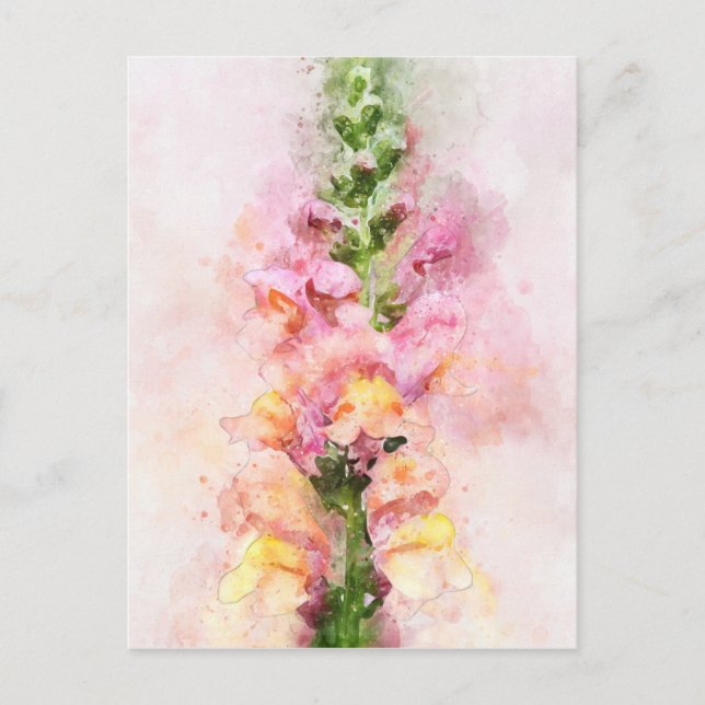 Carte Postale Aquarelle d'une fleur de snapdragon (Devant)