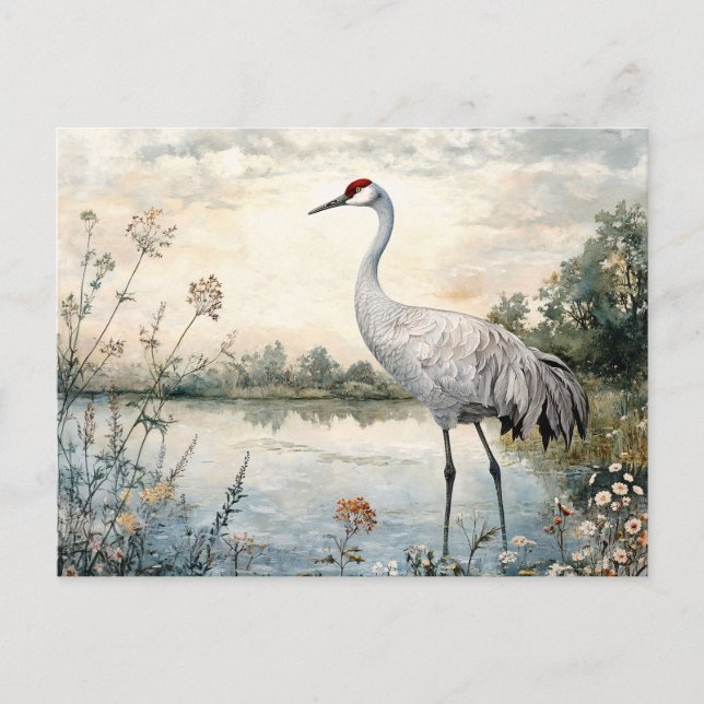 Carte Postale Aquarelle Grue Sandhill sur un étang (Devant)