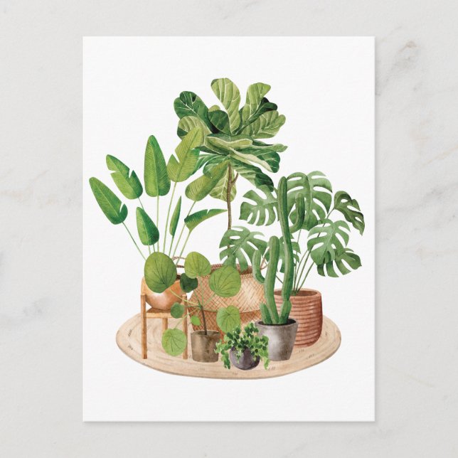 Carte Postale Aquarelle Houseplants (Devant)