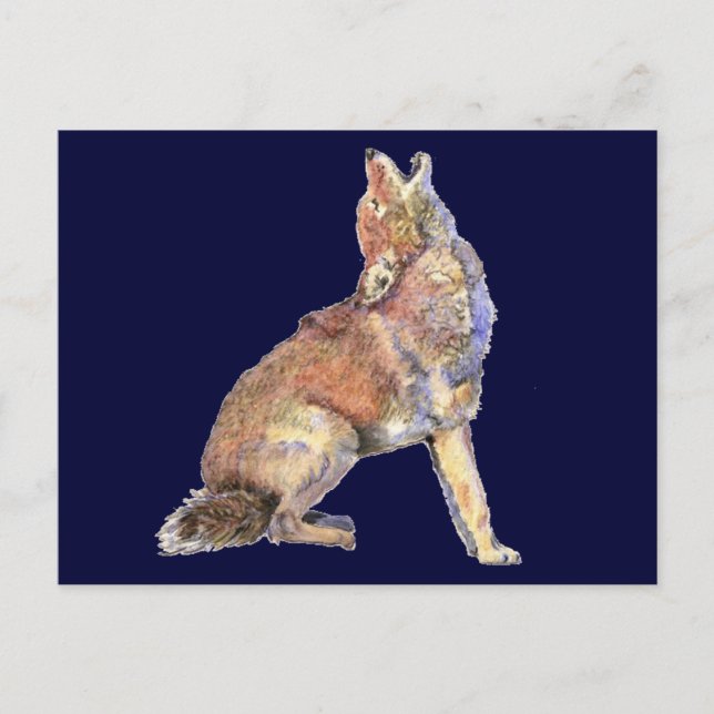 Carte Postale Aquarelle Howling Coyote, Animal, Nature Faune (Devant)