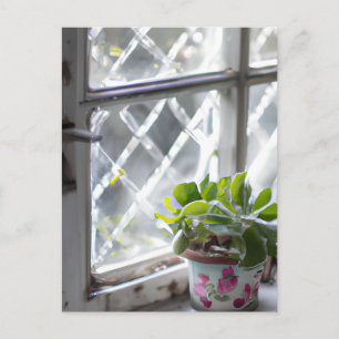 Carte Postale Aquarelle jolie plante dans la fenêtre