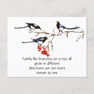 Carte Postale Aquarelle Magpie Famille Citation Animal Nature