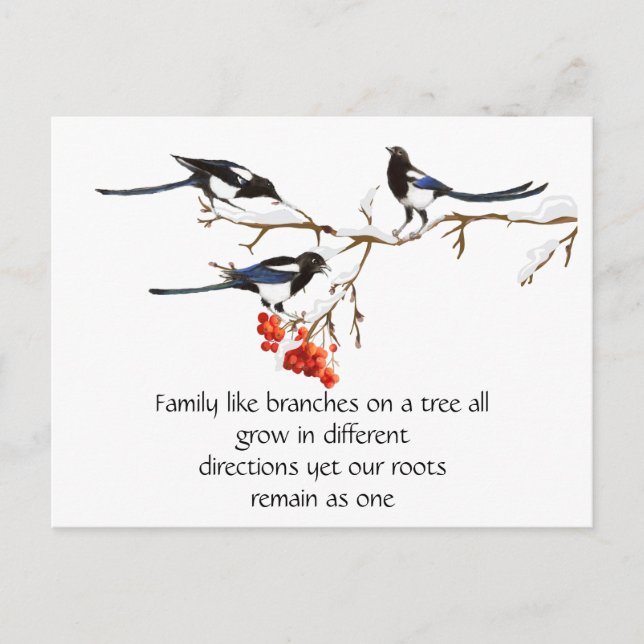 Carte Postale Aquarelle Magpie Famille Citation Animal Nature (Devant)