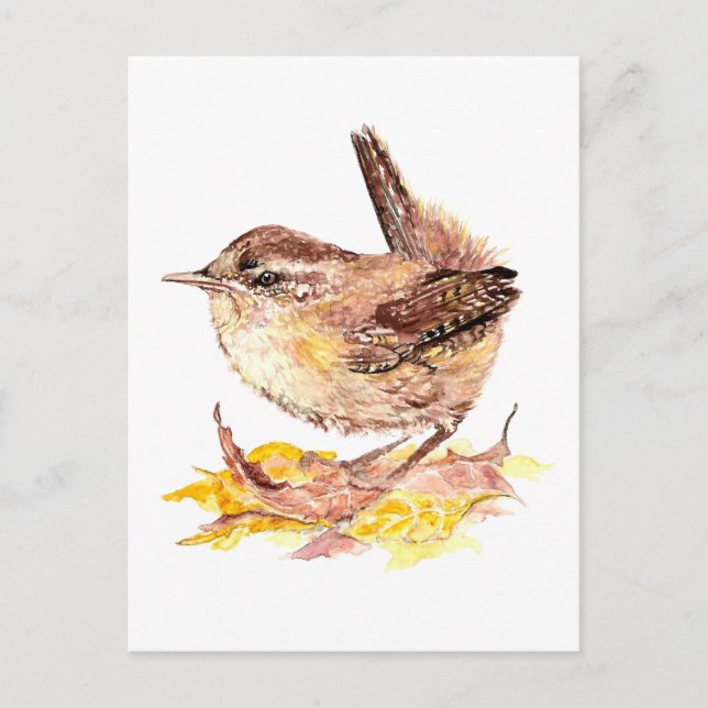 Carte Postale Aquarelle mignonne Oiseau, Nature, Faune (Devant)