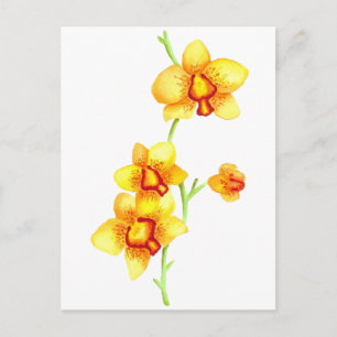 Carte postale Aquarelle Orchidées Jaunes
