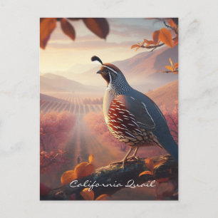 Carte Postale Aquarelle originale California Quail. Oiseau