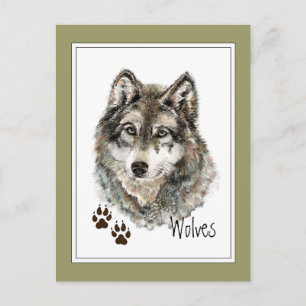 Carte Postale Aquarelle originale Loup gris - Traces animal