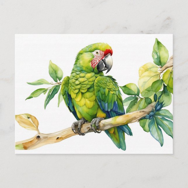 Carte Postale Aquarelle Perroquet vert sur une branche d'arbre (Devant)