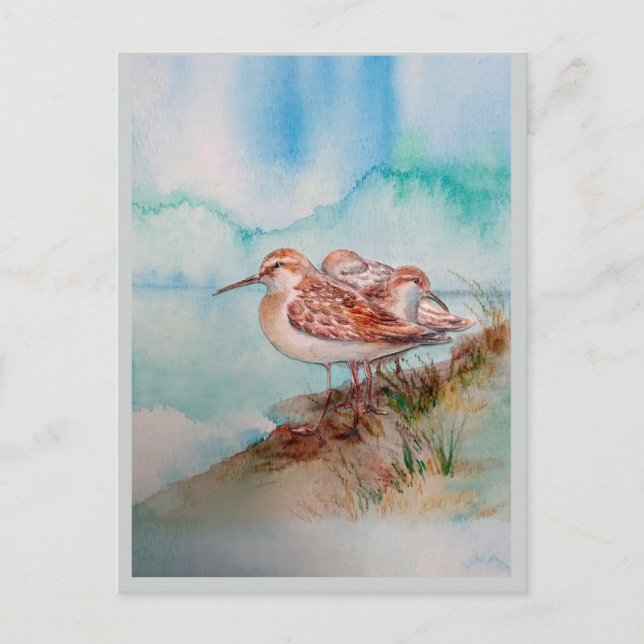 Carte Postale Aquarelle personnalisée Sandpiper Shore Beach Oise (Devant)